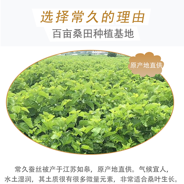蠶絲被生產(chǎn)商-可靠商家要滿(mǎn)足這些條件[常久]