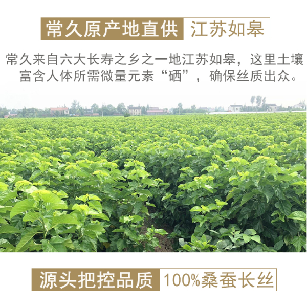 在廣東哪里能買到蠶絲被-可以來(lái)這家選購(gòu)[常久]
