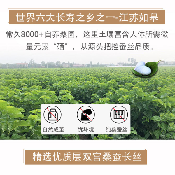 桑蠶絲被哪里產(chǎn)-這家原產(chǎn)地為何有優(yōu)勢[常久]