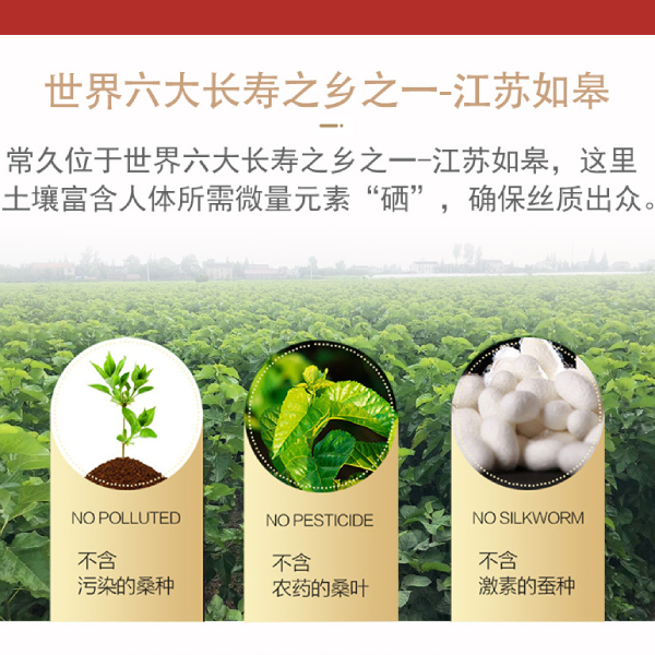 純蠶絲被廠(chǎng)家-找哪家買(mǎi)才比較放心呢[常久]